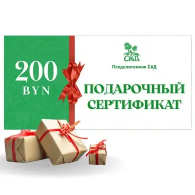Подарочный сертификат на 200 BYN в Омске