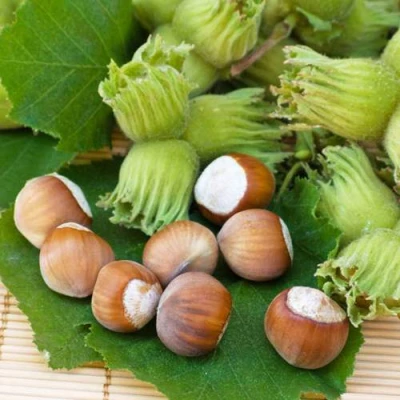 Фундук КРЕПКИЙ ОРЕШЕК в Омске