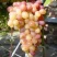 Виноград БЛЕСТЯЩИЙ в Омске
