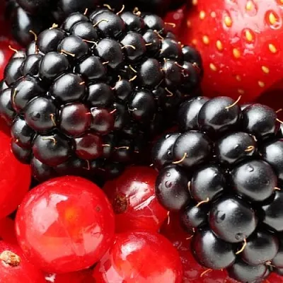 Ежевика в Омске