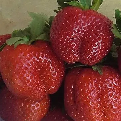 Клубника ДЕСТЕНИ в Омске