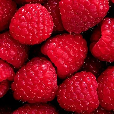 Малина в Омске